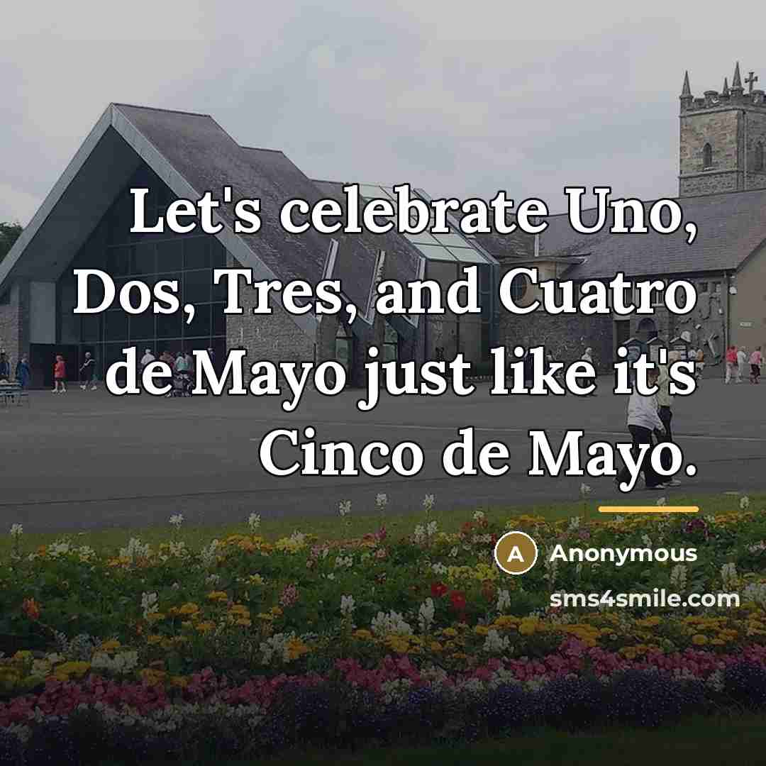 “Let's celebrate Uno, Dos, Tres, and Cuatro de Mayo just…” quote by Anonymous