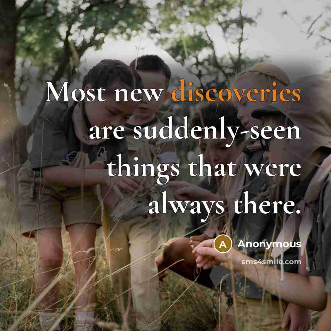 “Most new discoveries are suddenly-seen things that were always there.” quote by Anonymous