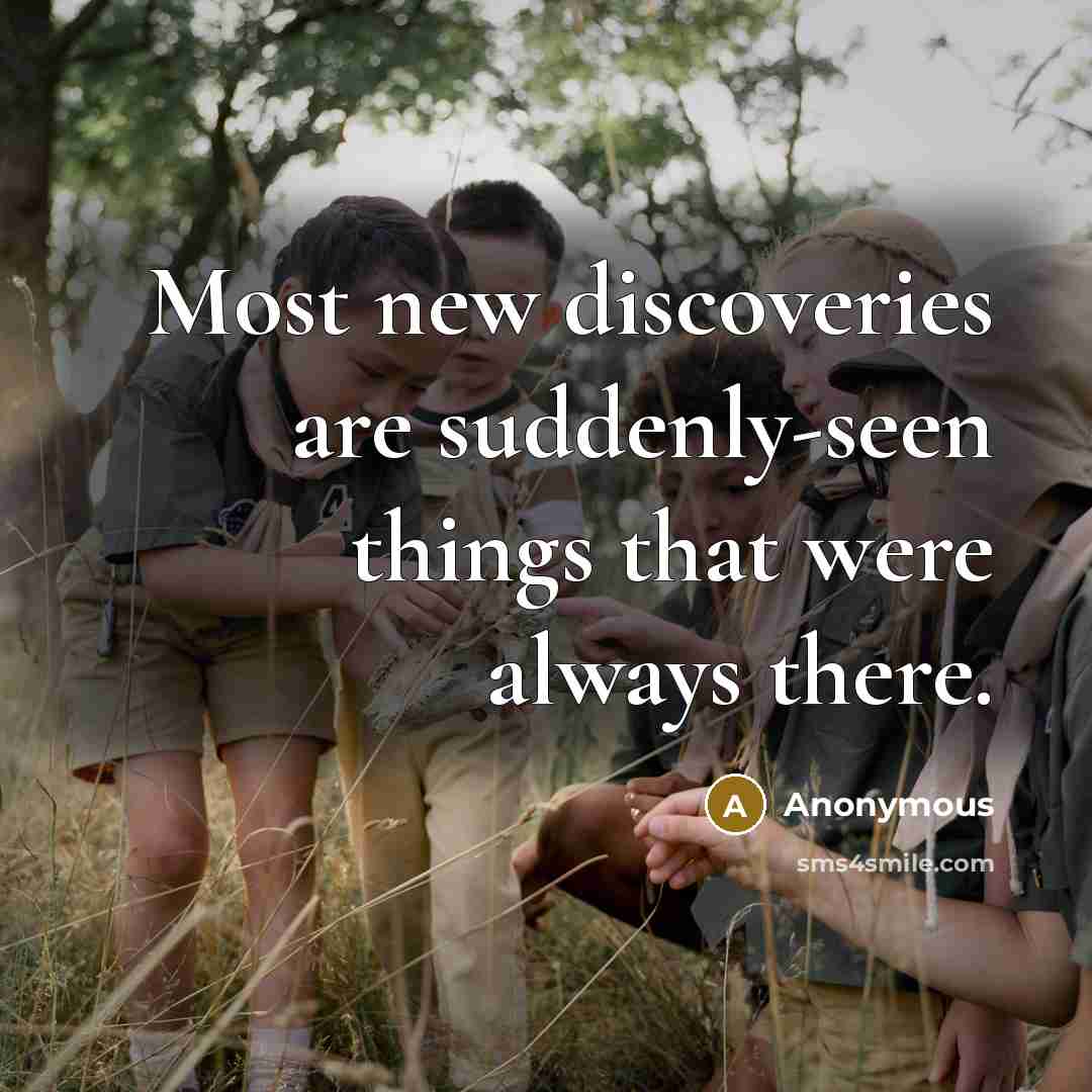 “Most new discoveries are suddenly-seen things that were always there.…” quote by Anonymous