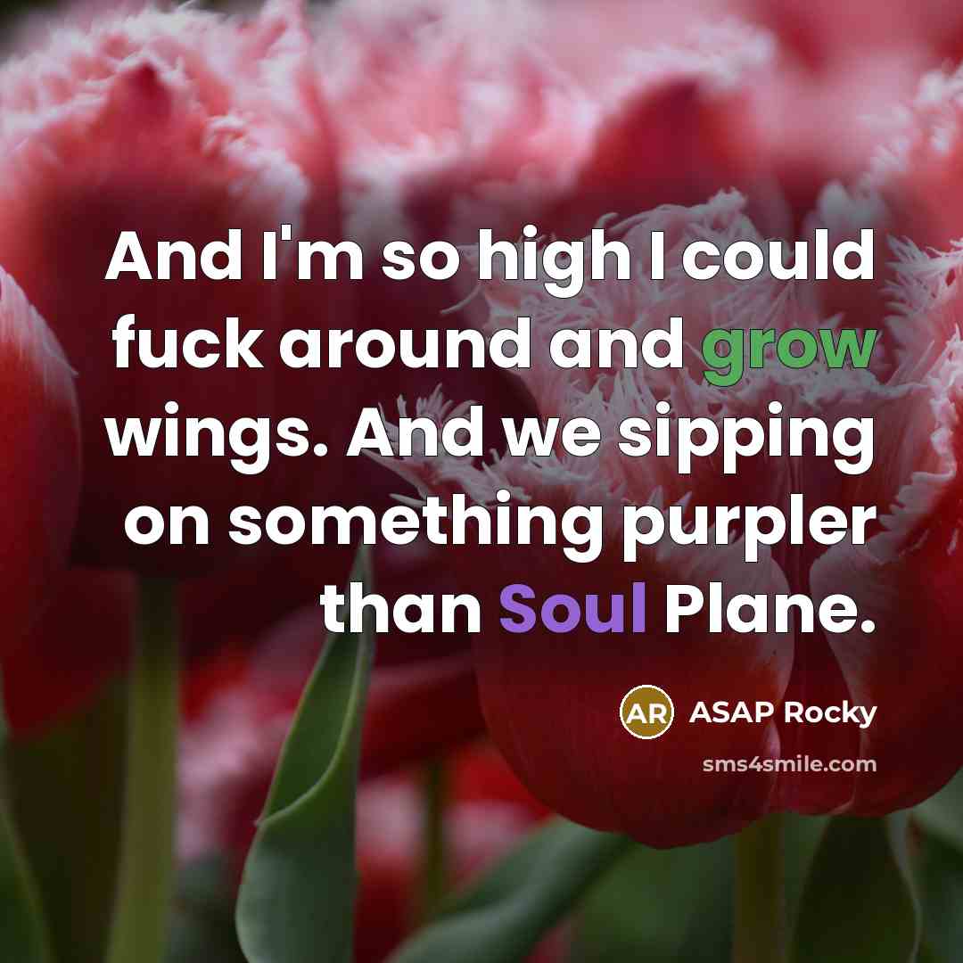 “And I'm so high I could fuck around and grow…” quote by Asap Rocky