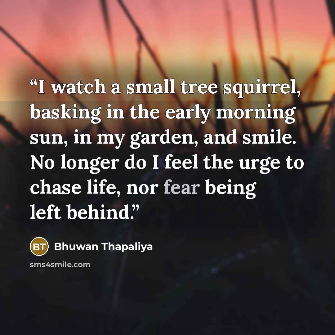 “I watch a small tree squirrel, basking in the early morning sun, in my garden, and smile. No longer do I feel the urge to chase life, nor fear being left behind.” quote by Bhuwan Thapaliya