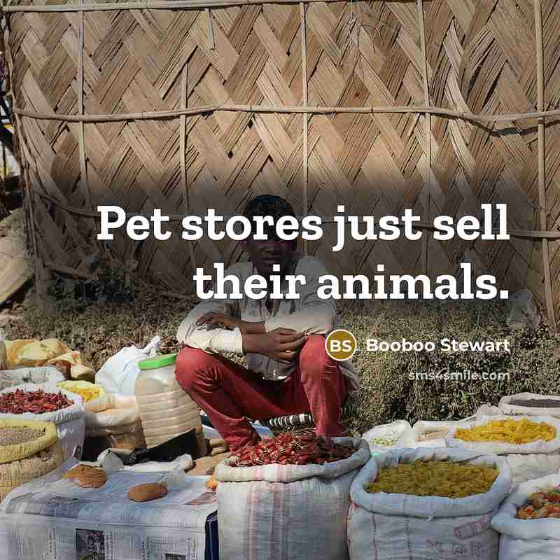 “Pet stores just sell their animals.…” quote by Booboo Stewart