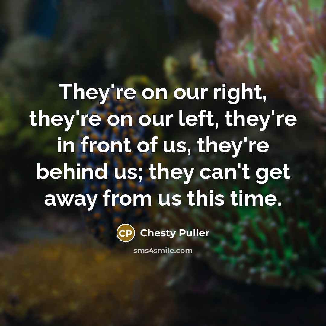 “They're on our right, they're on our left, they're in front of us, they're behind us; they can't get away from us this time.” quote by Chesty Puller
