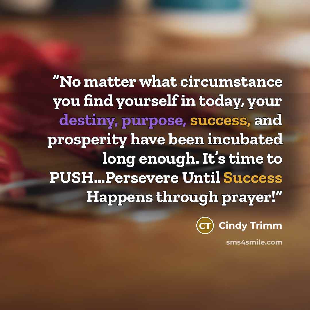 “No matter what circumstance you find yourself in today, your destiny, purpose, success, and prosperity have been incubated long enough. It’s time to PUSH…Persevere Until Success Happens through prayer!” quote by Cindy Trimm