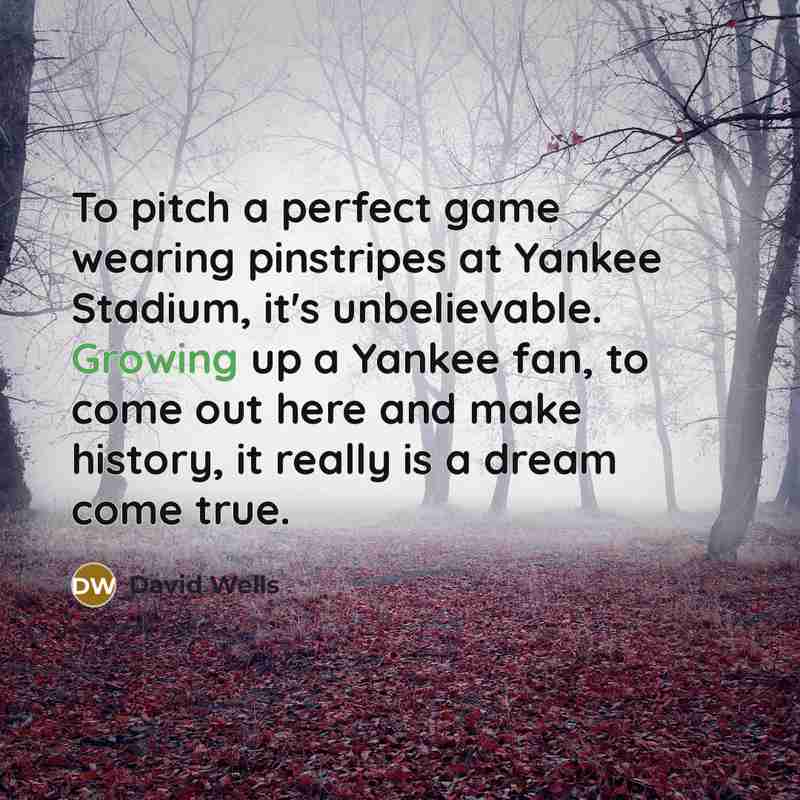 “To pitch a perfect game wearing pinstripes at Yankee Stadium,…” quote by David Wells