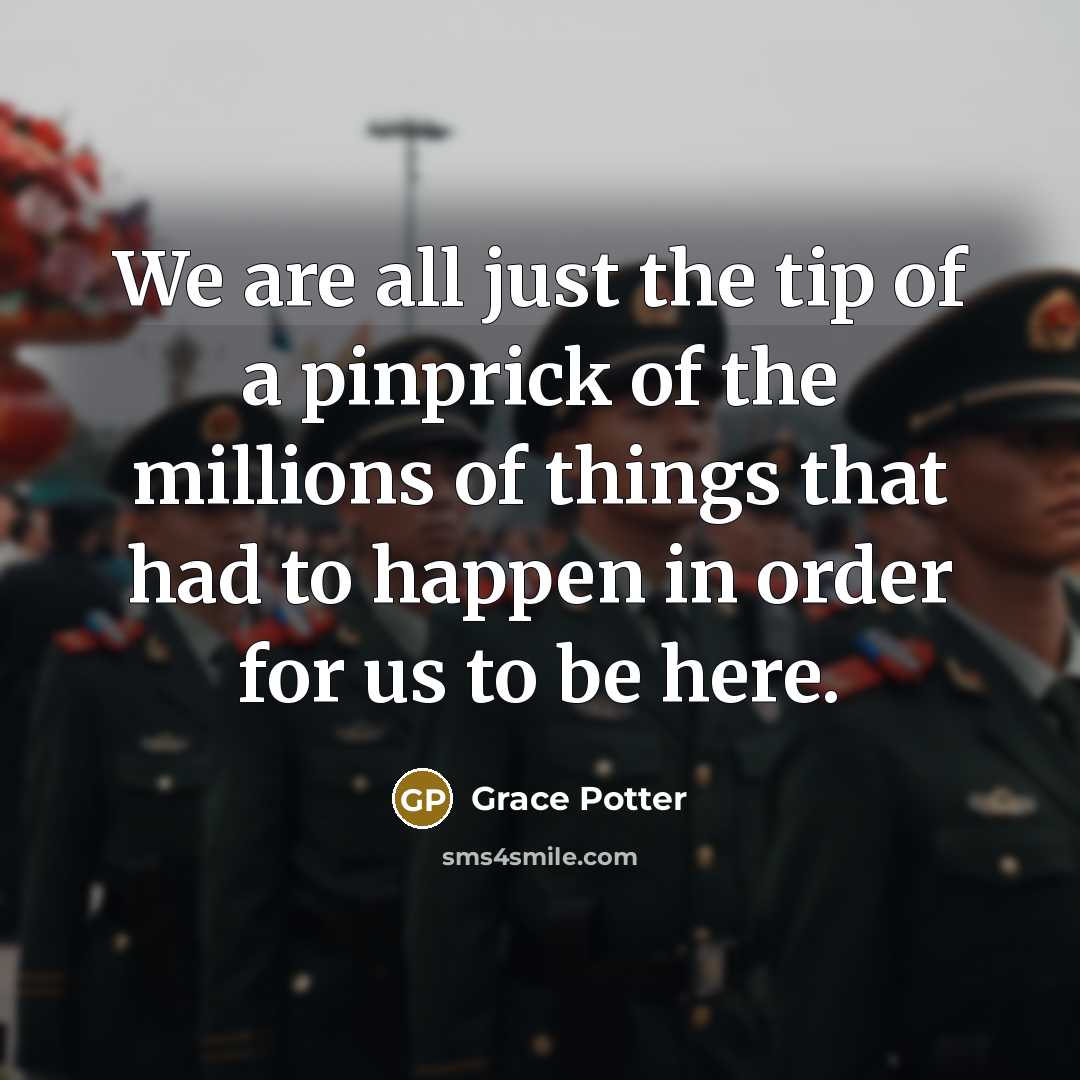 “We are all just the tip of a pinprick of…” quote by Grace Potter