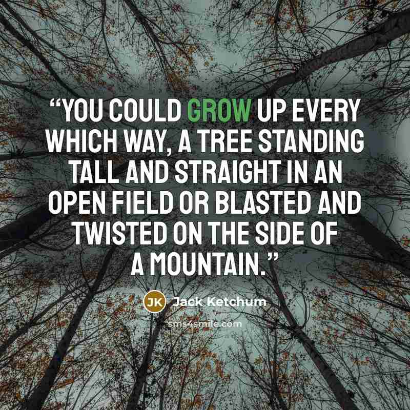 “You could grow up every which way, a tree standing tall and straight in an open field or blasted and twisted on the side of a mountain.” quote by Jack Ketchum