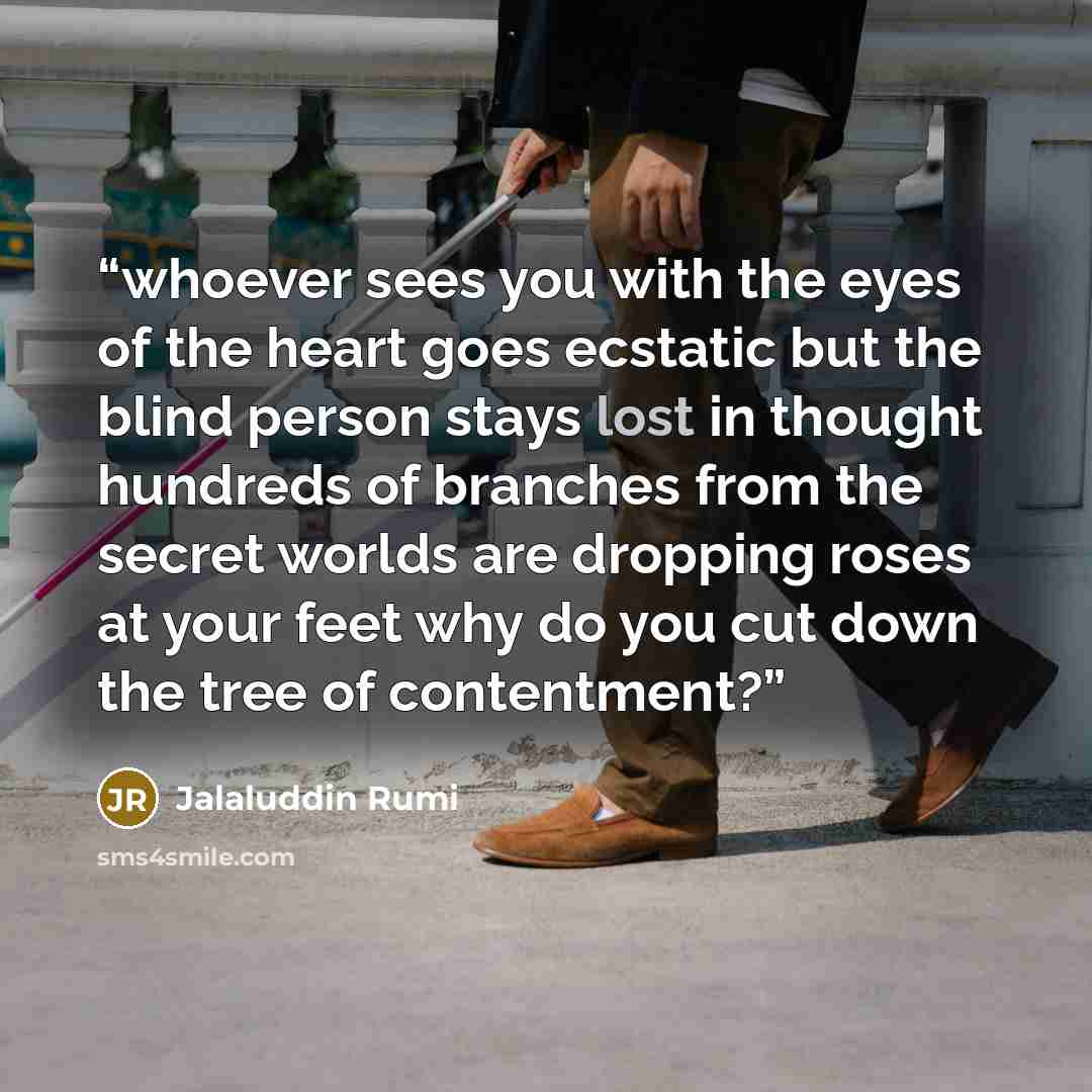 “whoever sees you with the eyes of the heart goes ecstatic but the blind person stays lost in thought hundreds of branches from the secret worlds are dropping roses at your feet why do you cut down the tree of contentment?” quote by Jalaluddin Rumi