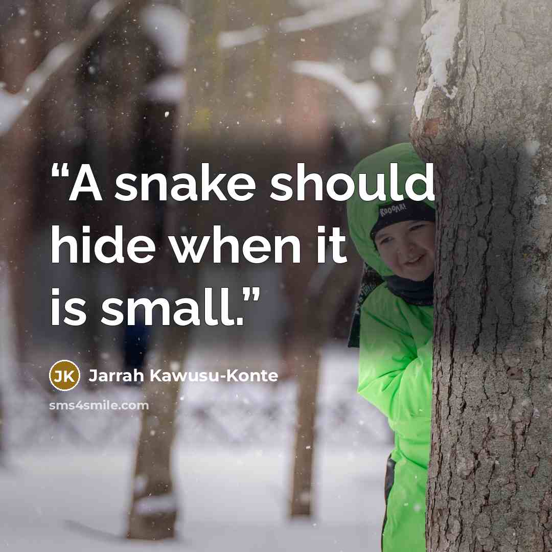 “A snake should hide when it is small.” quote by Jarrah Kawusu-Konte