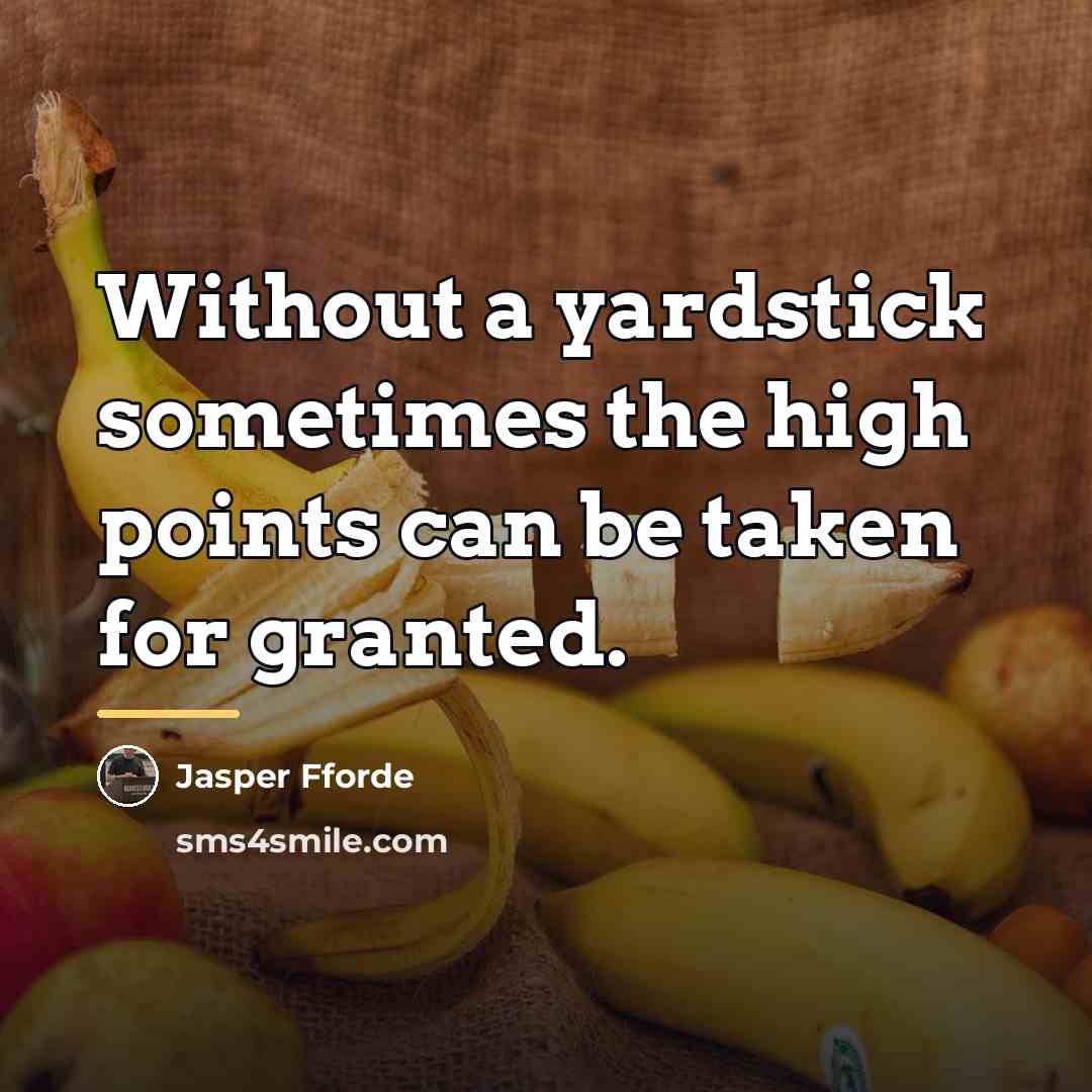 “Without a yardstick sometimes the high points can be taken…” quote by Jasper Fforde