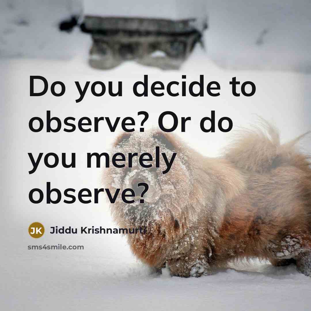 “Do you decide to observe? Or do you merely observe?” quote by Jiddu Krishnamurti