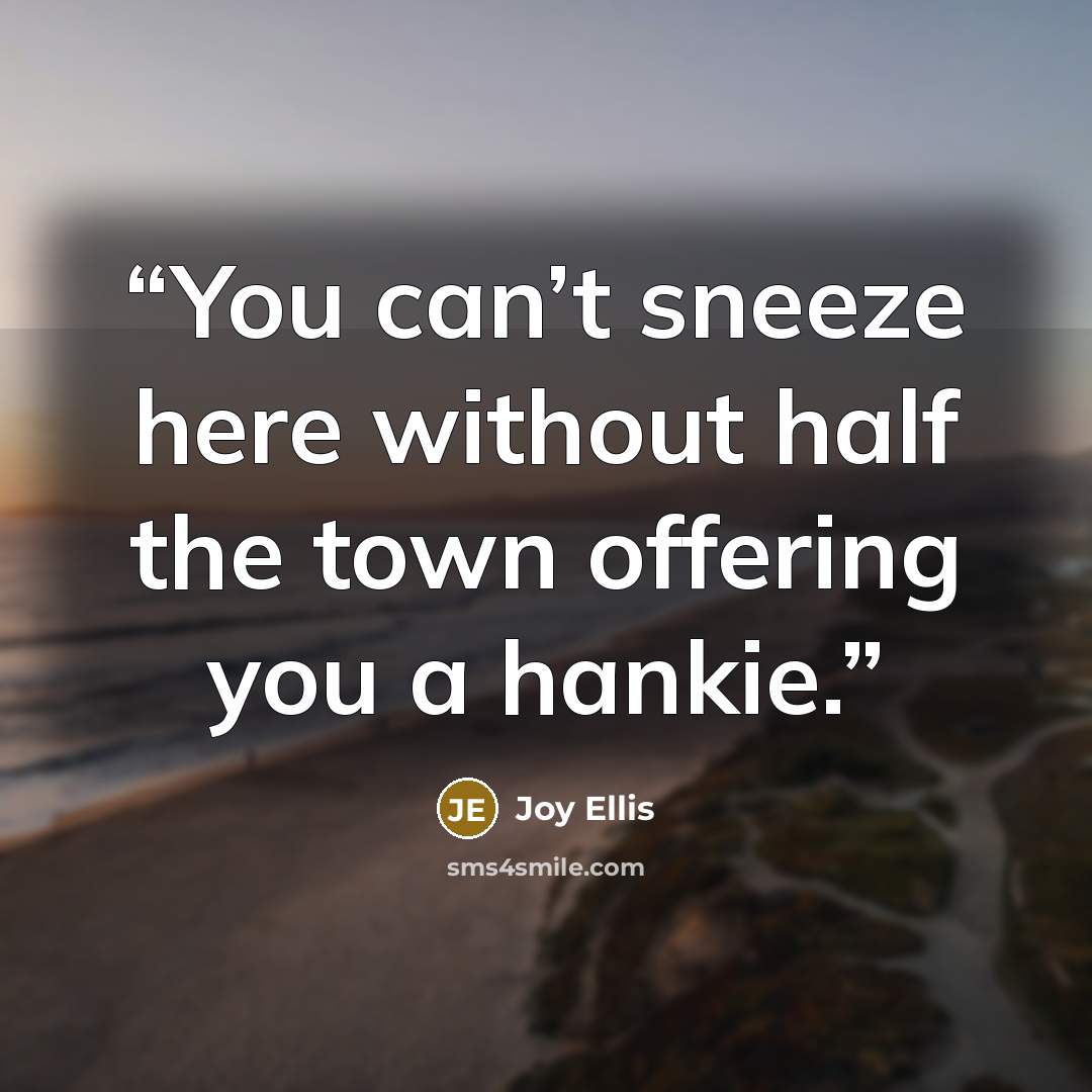“You can’t sneeze here without half the town offering you a hankie.” quote by Joy Ellis