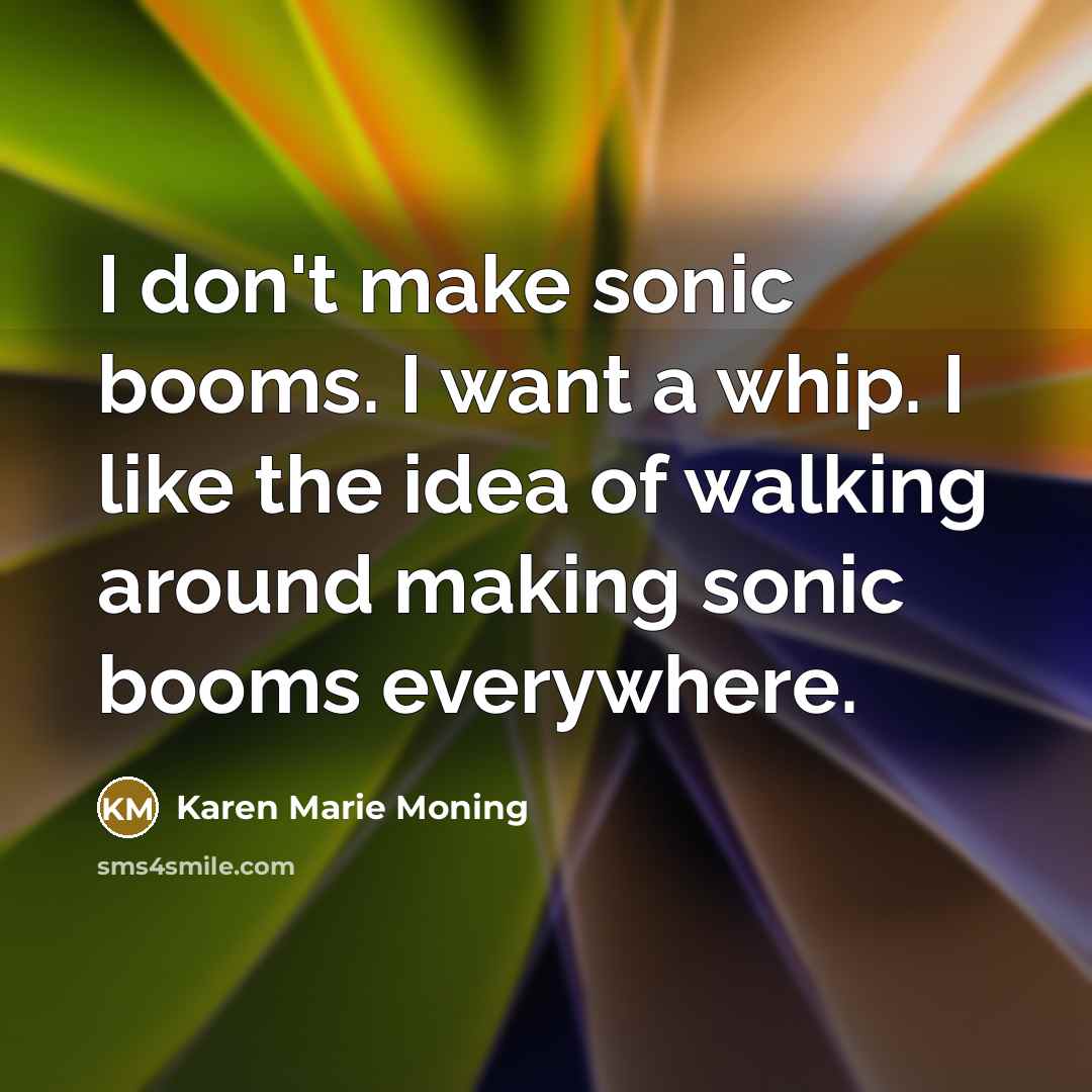 “I don't make sonic booms. I want a whip. I…” quote by Karen Marie Moning