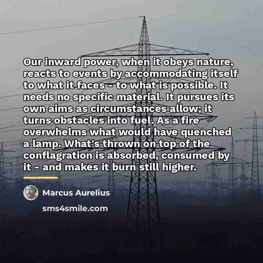 “Our inward power, when it obeys nature, reacts to events…” quote by Marcus Aurelius