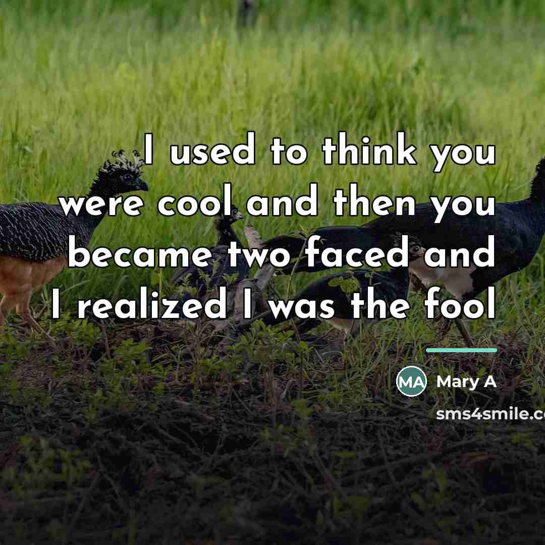 “I used to think you were cool and then you…” quote by Mary A