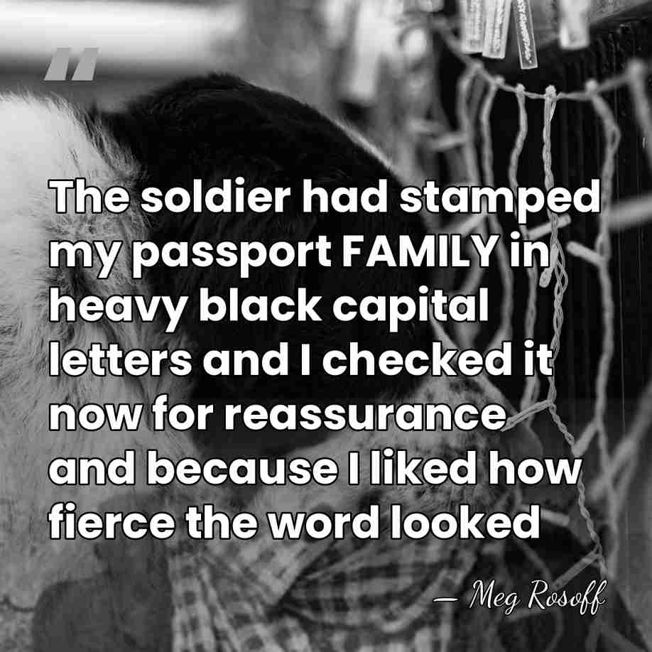 The soldier had stamped my passport FAMILY in heavy black capital letters&hellip; - Meg Rosoff