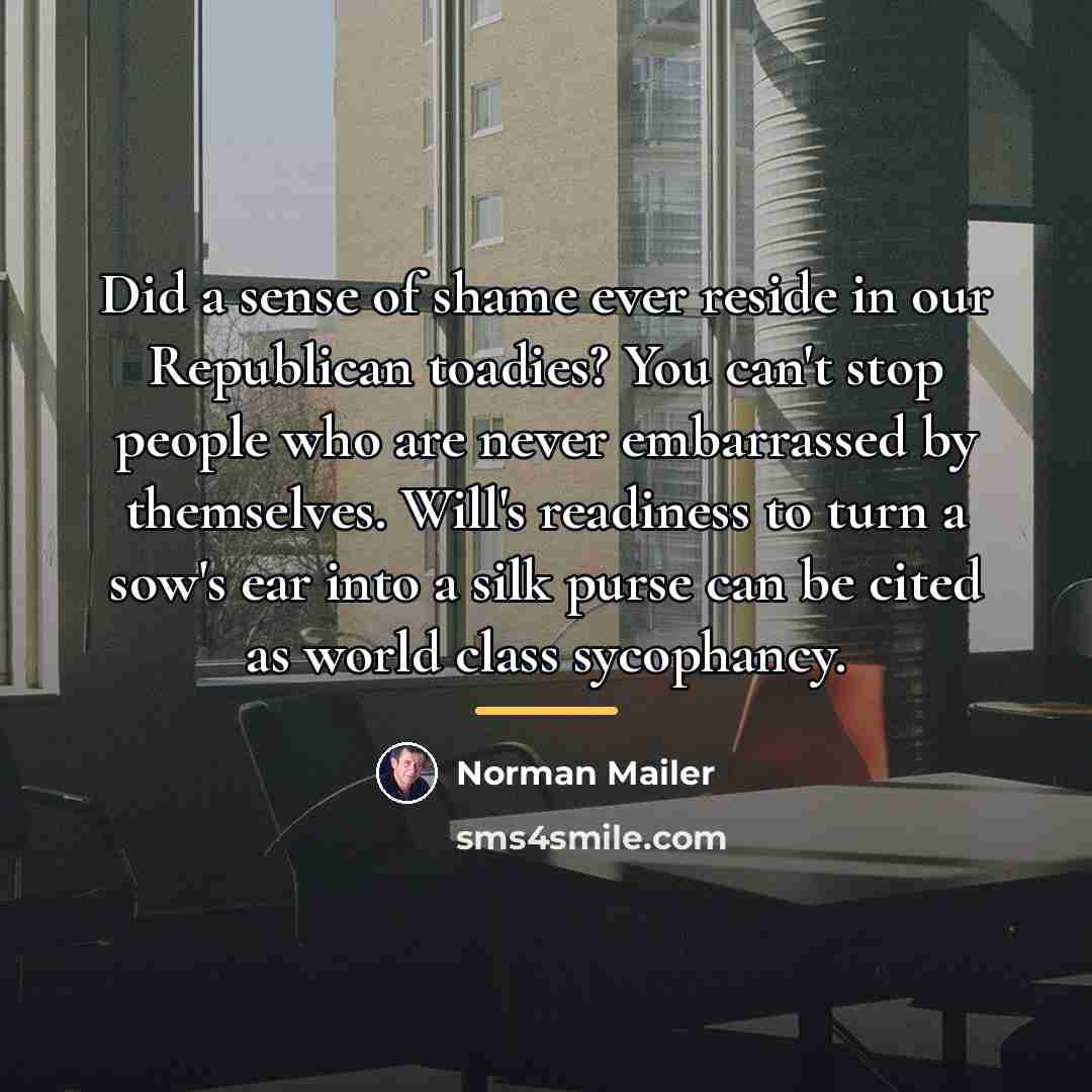“Did a sense of shame ever reside in our Republican…” quote by Norman Mailer