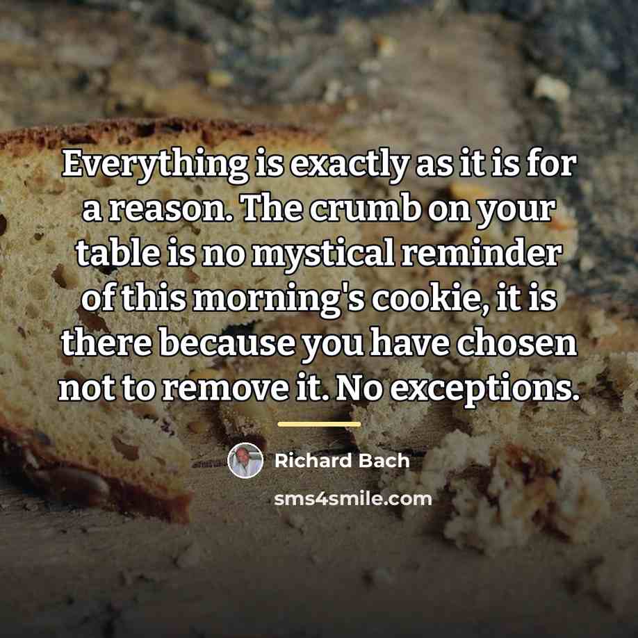 “Everything is exactly as it is for a reason. The…” quote by Richard Bach