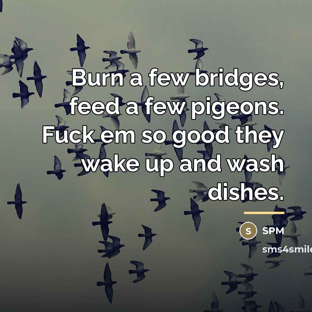 “Burn a few bridges, feed a few pigeons. Fuck em…” quote by SPM