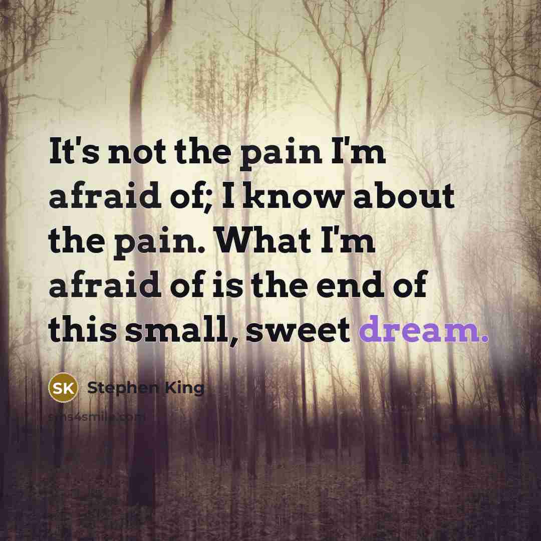 “It's not the pain I'm afraid of; I know about the pain. What I'm afraid of is the end of this small, sweet dream.” quote by Stephen King