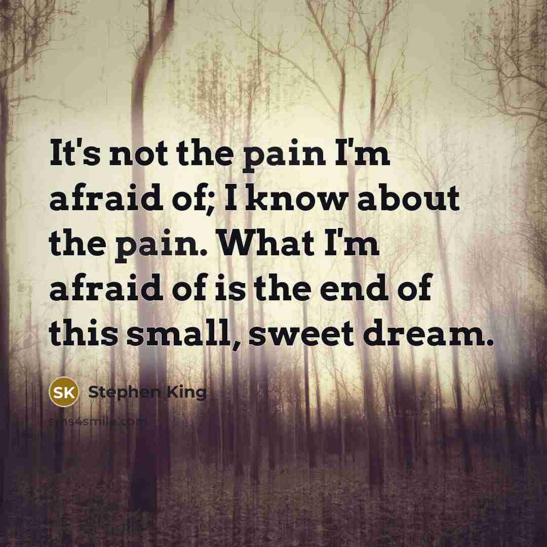 “It's not the pain I'm afraid of; I know about…” quote by Stephen King