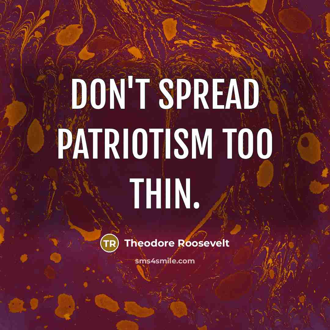 “Don't spread patriotism too thin.…” quote by Theodore Roosevelt