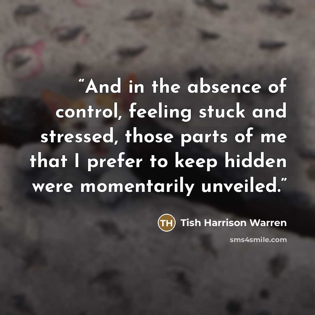 “And in the absence of control, feeling stuck and stressed, those parts of me that I prefer to keep hidden were momentarily unveiled.” quote by Tish Harrison Warren