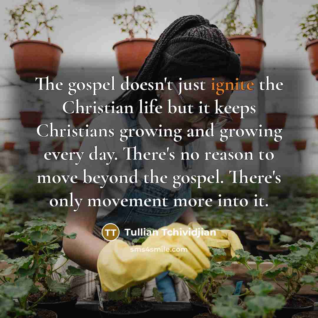 “The gospel doesn't just ignite the Christian life but it…” quote by Tullian Tchividjian