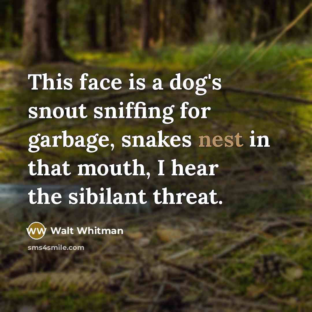 “This face is a dog's snout sniffing for garbage, snakes…” quote by Walt Whitman