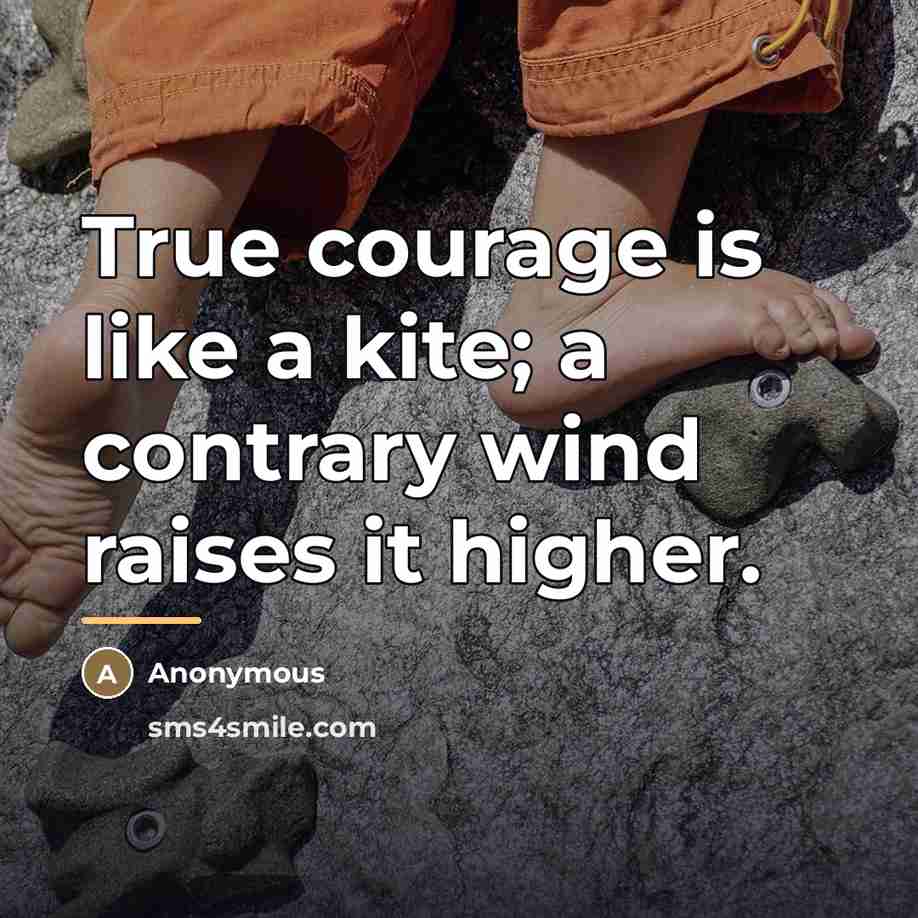 “True courage is like a kite; a contrary wind raises…” quote by Anonymous