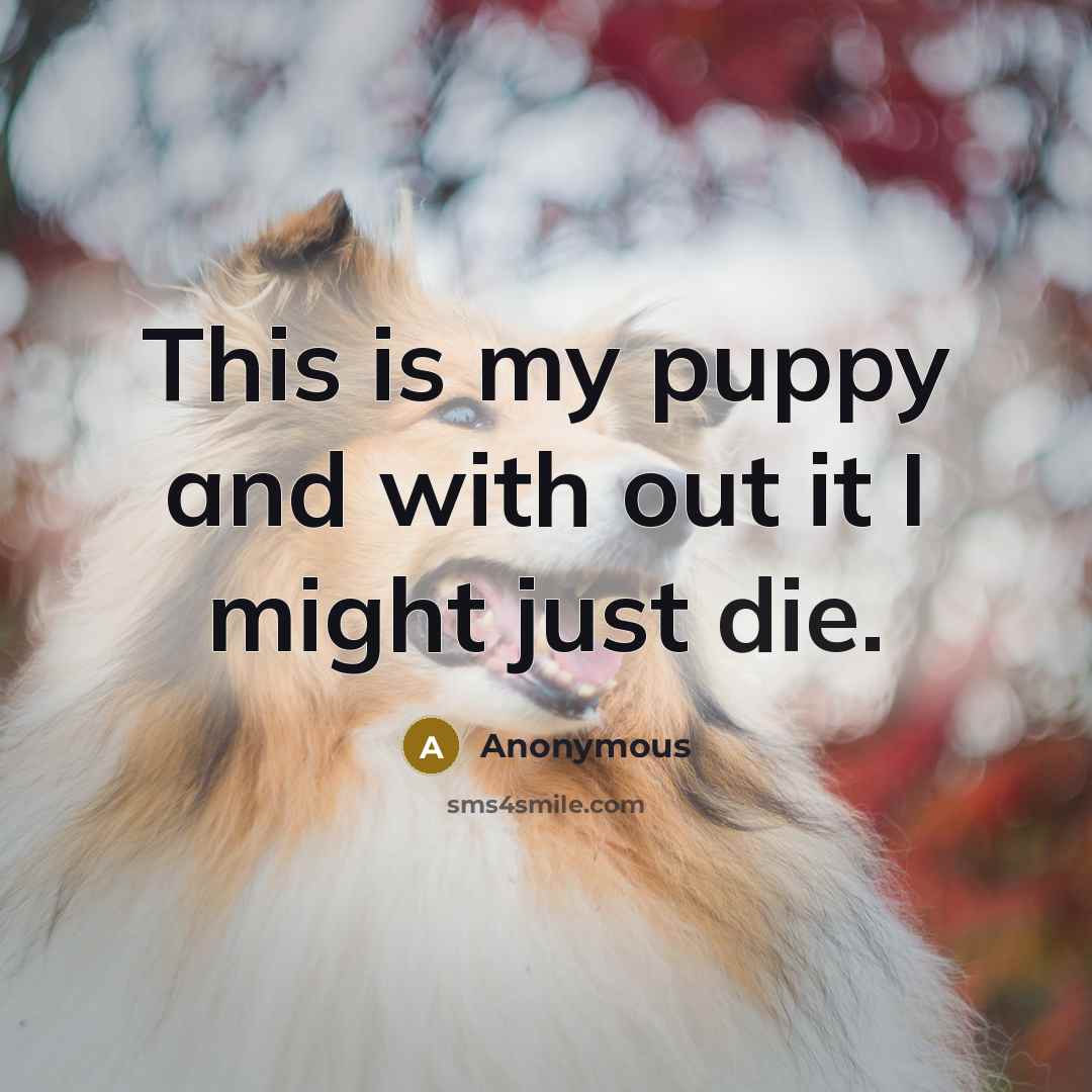 “This is my puppy and with out it I might…” quote by Anonymous