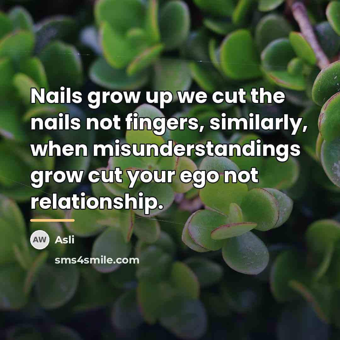 “Nails grow up we cut the nails not fingers, similarly,…” quote by Asli