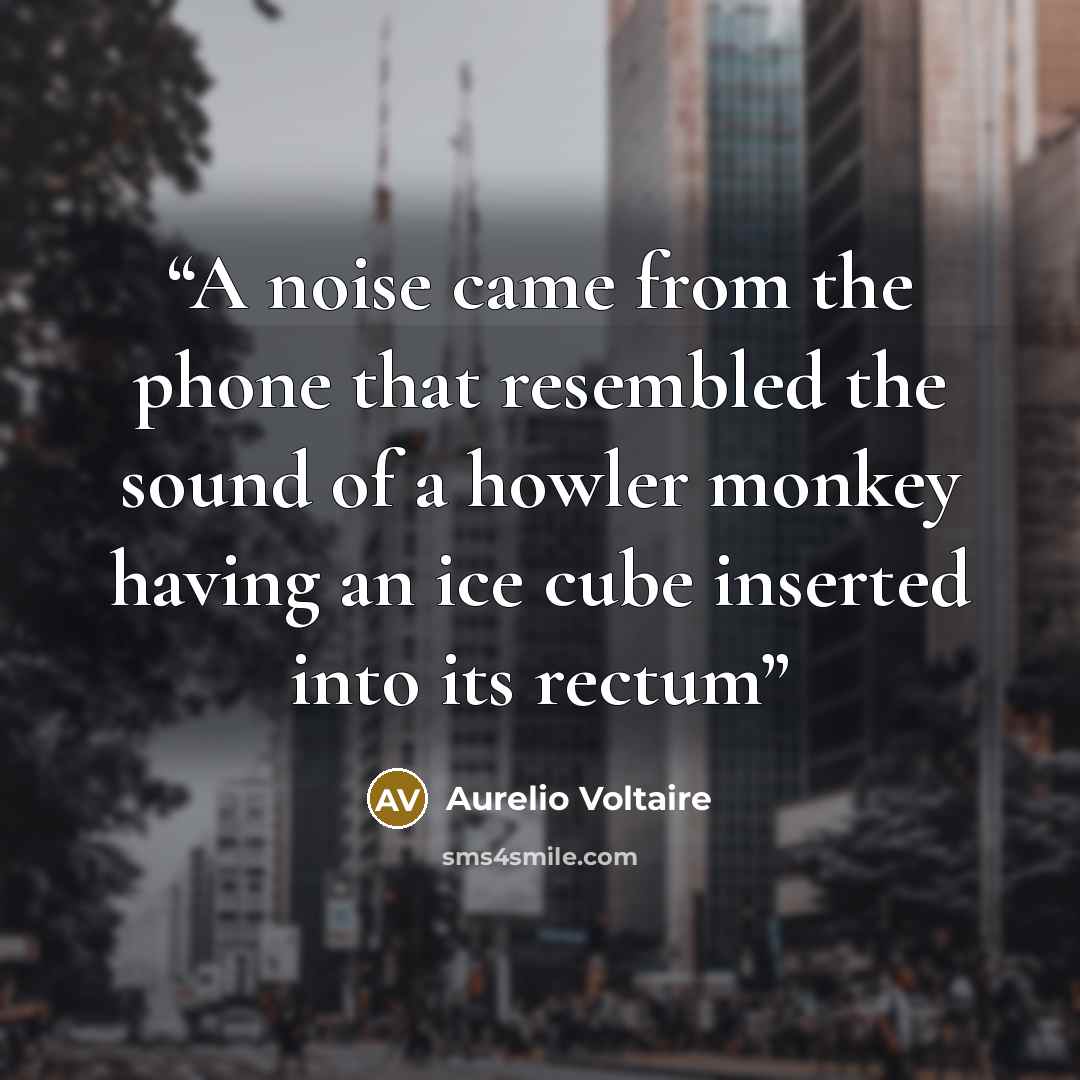 “A noise came from the phone that resembled the sound of a howler monkey having an ice cube inserted into its rectum” quote by Aurelio Voltaire