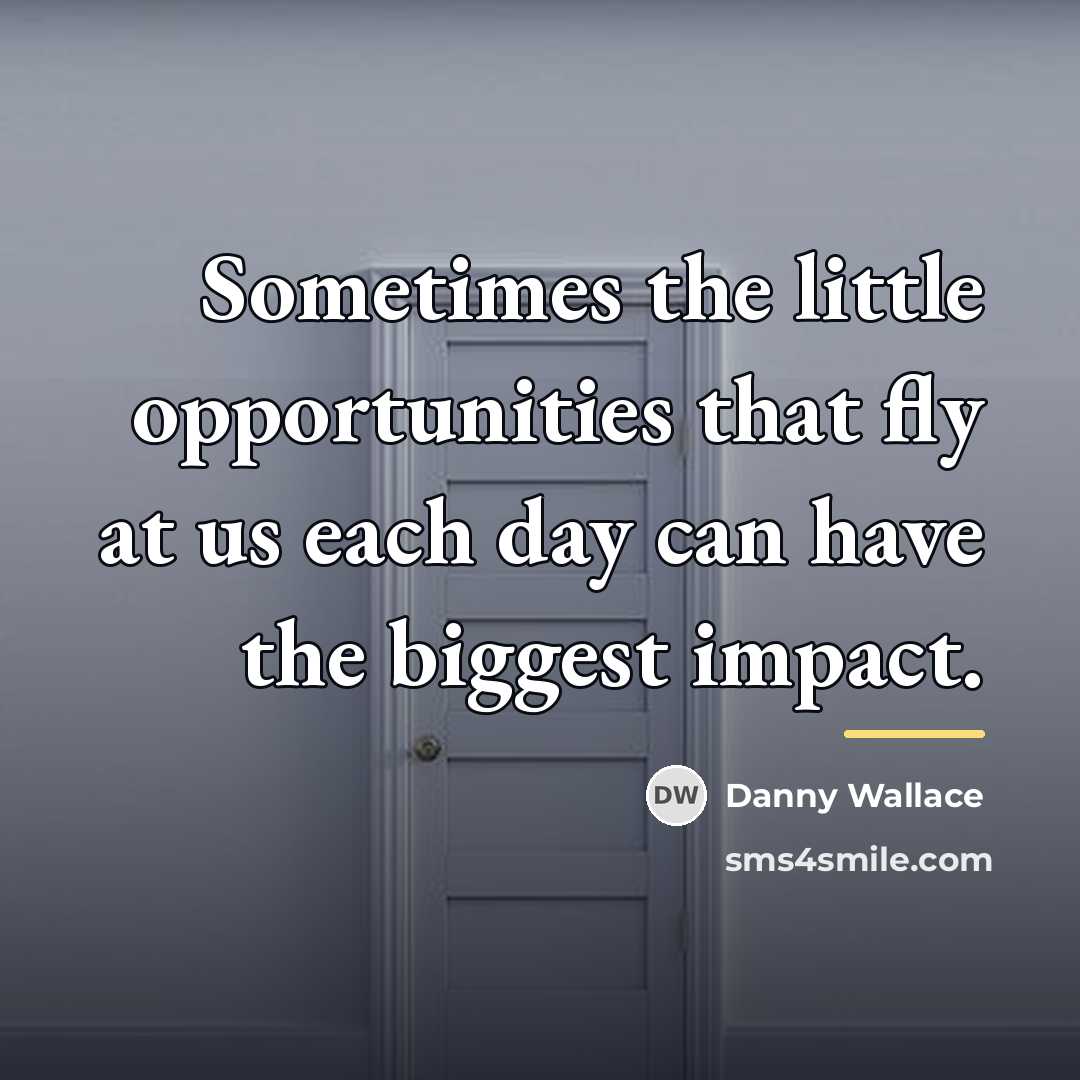 “Sometimes the little opportunities that fly at us each day…” quote by Danny Wallace