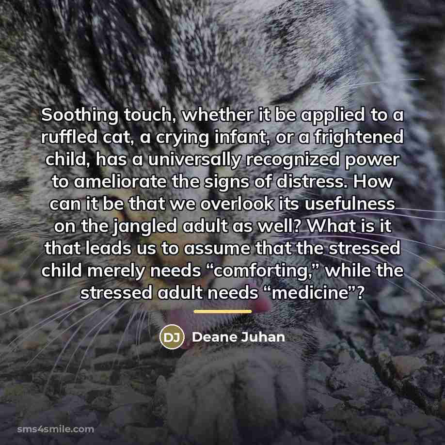 “Soothing touch, whether it be applied to a ruffled cat,…” quote by Deane Juhan