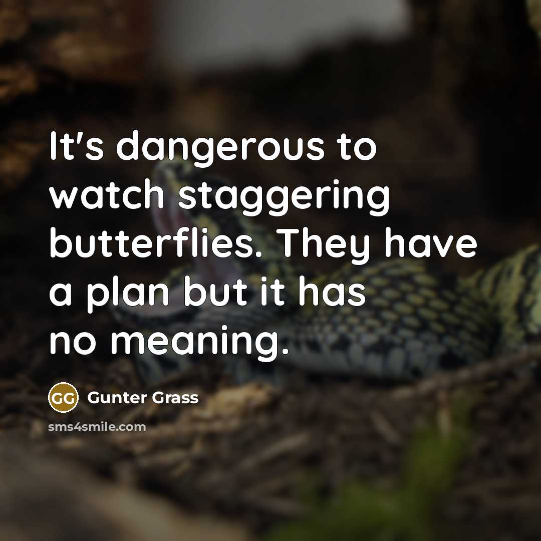 “It's dangerous to watch staggering butterflies. They have a plan…” quote by Gunter Grass