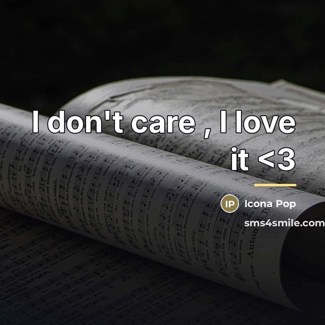 “I don't care , I love it…” quote by Icona Pop