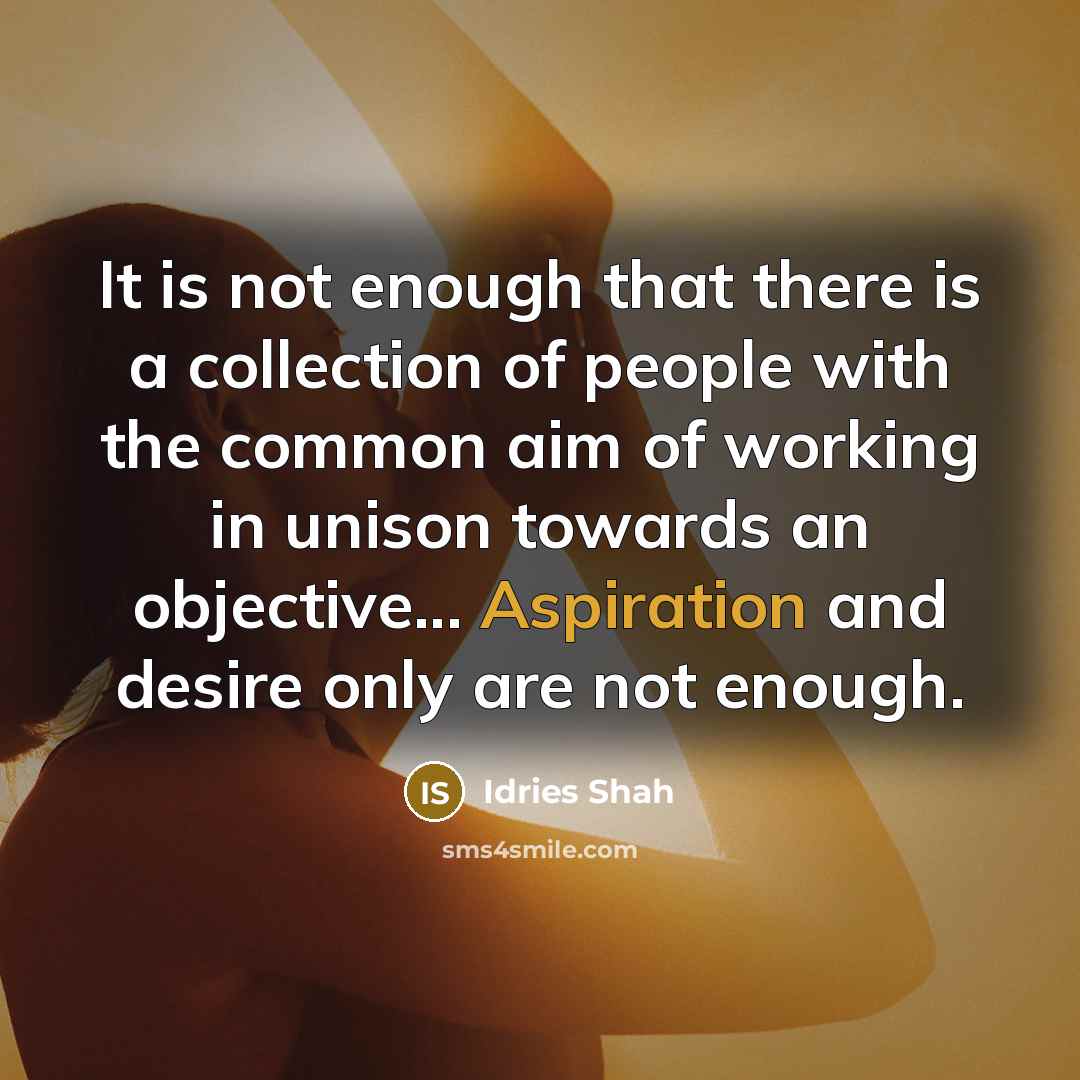 “It is not enough that there is a collection of…” quote by Idries Shah