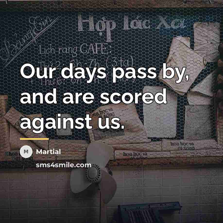 “Our days pass by, and are scored against us.…” quote by Martial
