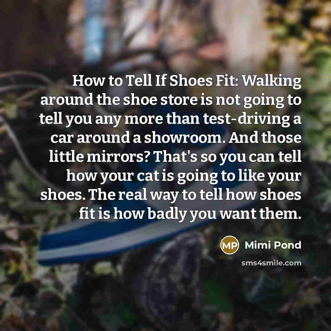 “How to Tell If Shoes Fit: Walking around the shoe…” quote by Mimi Pond