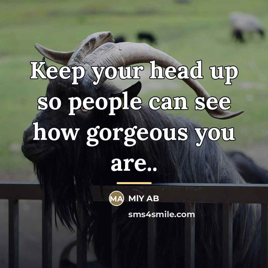 “Keep your head up so people can see how gorgeous…” quote by MLY AB