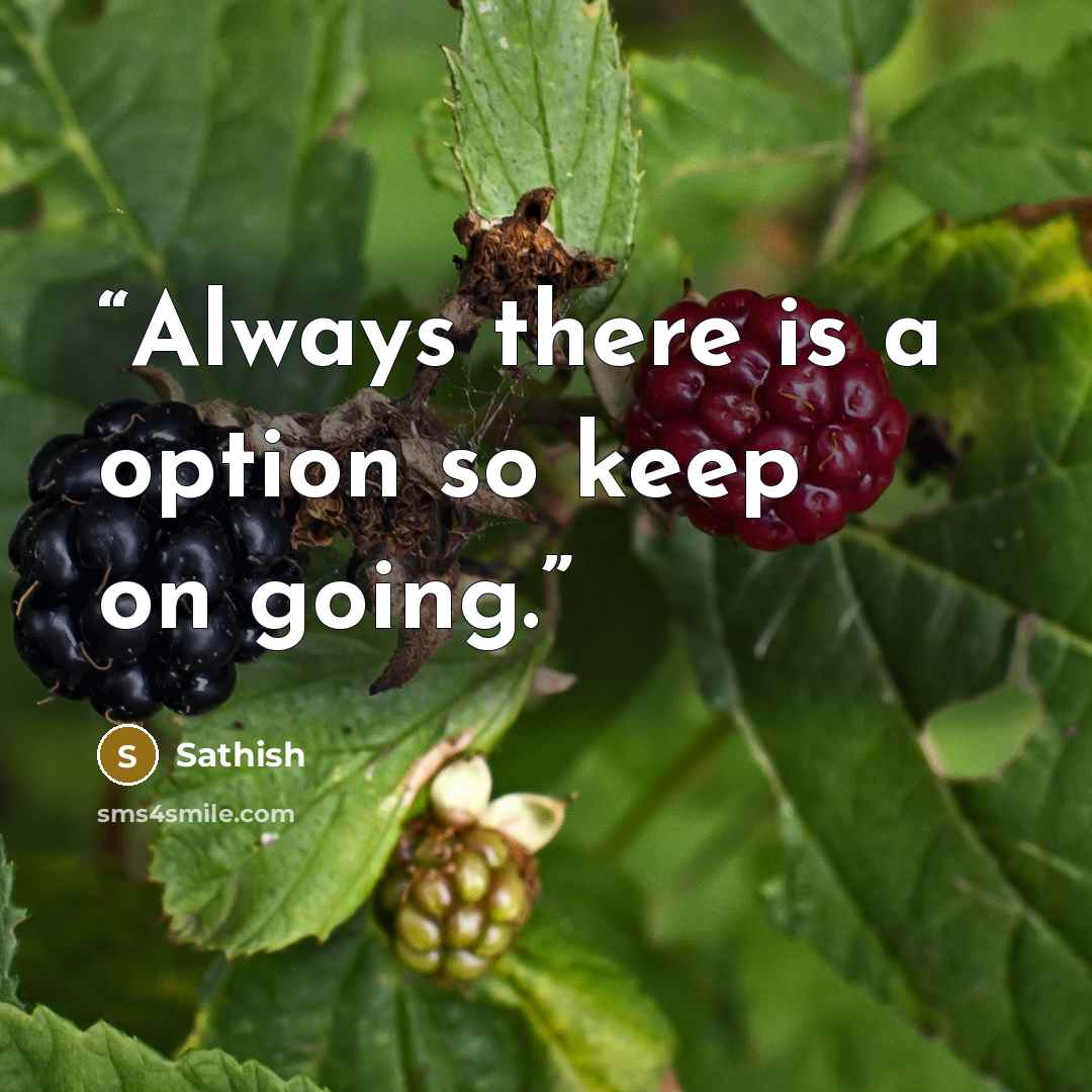 “Always there is a option so keep on going.” quote by Sathish