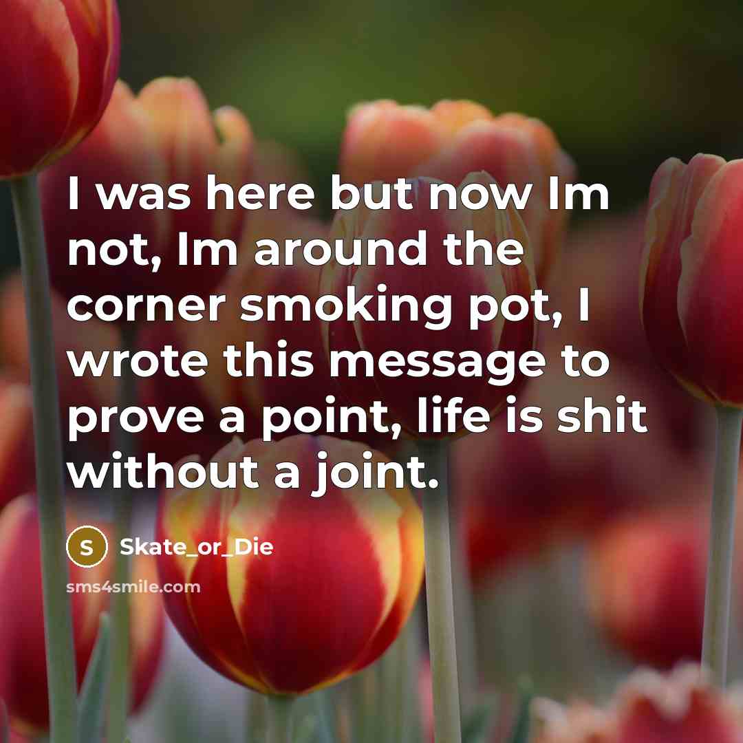 “I was here but now Im not, Im around the…” quote by Skate_or_Die