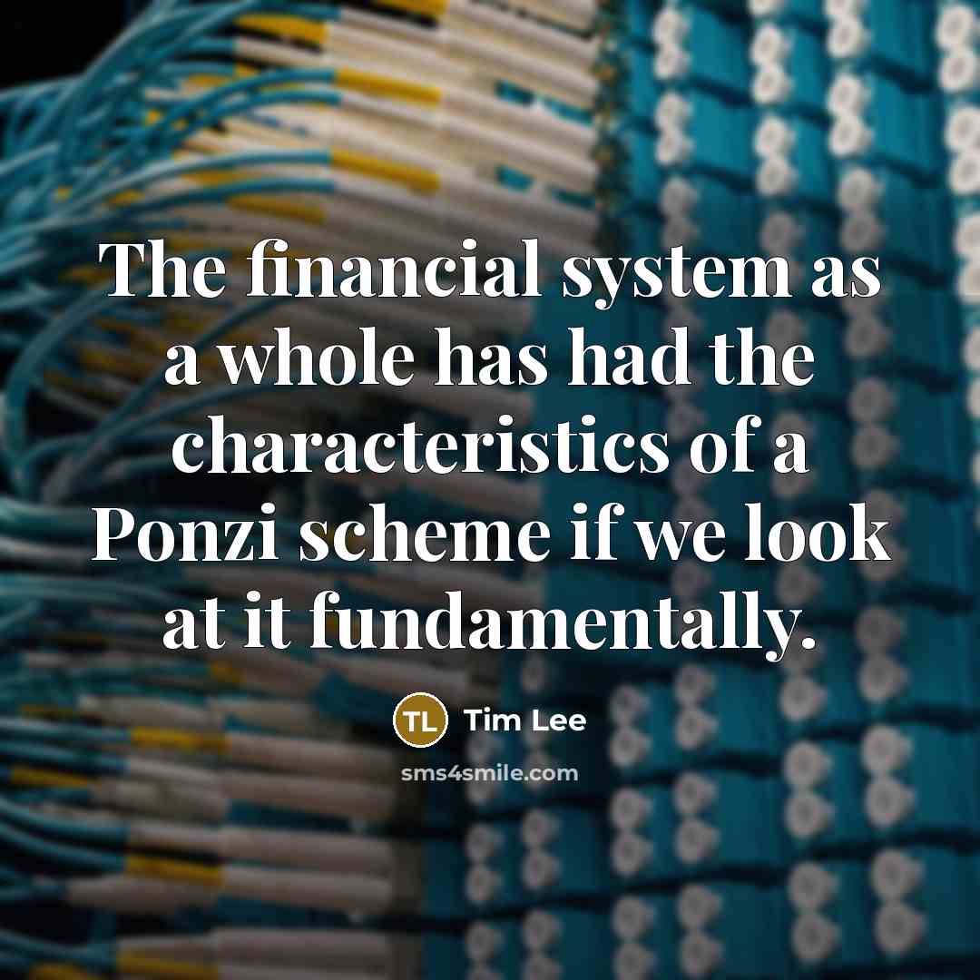 “The financial system as a whole has had the characteristics…” quote by Tim Lee