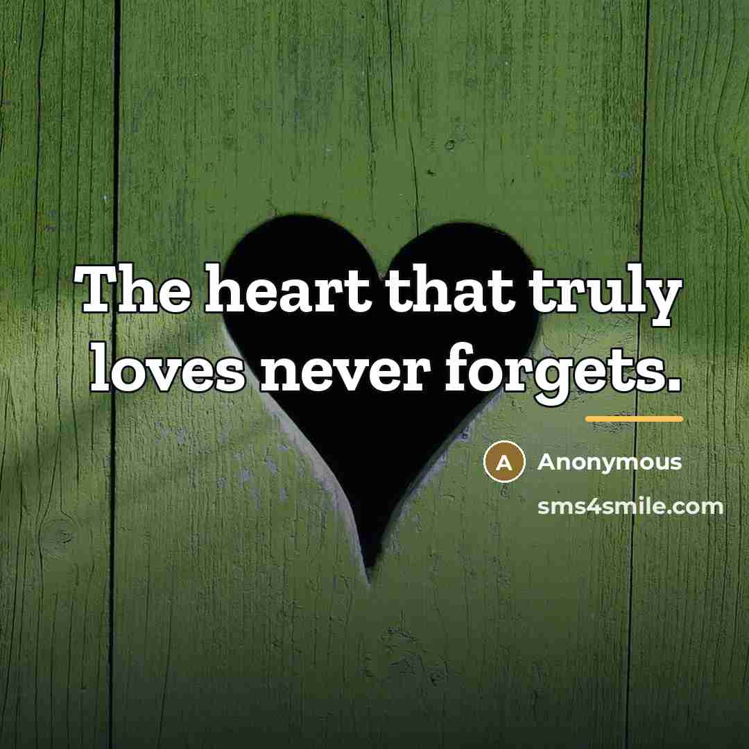“The heart that truly loves never forgets.…” quote by Anonymous