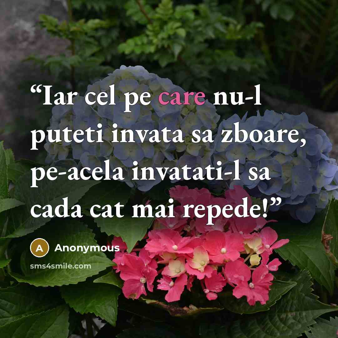 “Iar cel pe care nu-l puteti invata sa zboare, pe-acela invatati-l sa cada cat mai repede!” quote by Anonymous