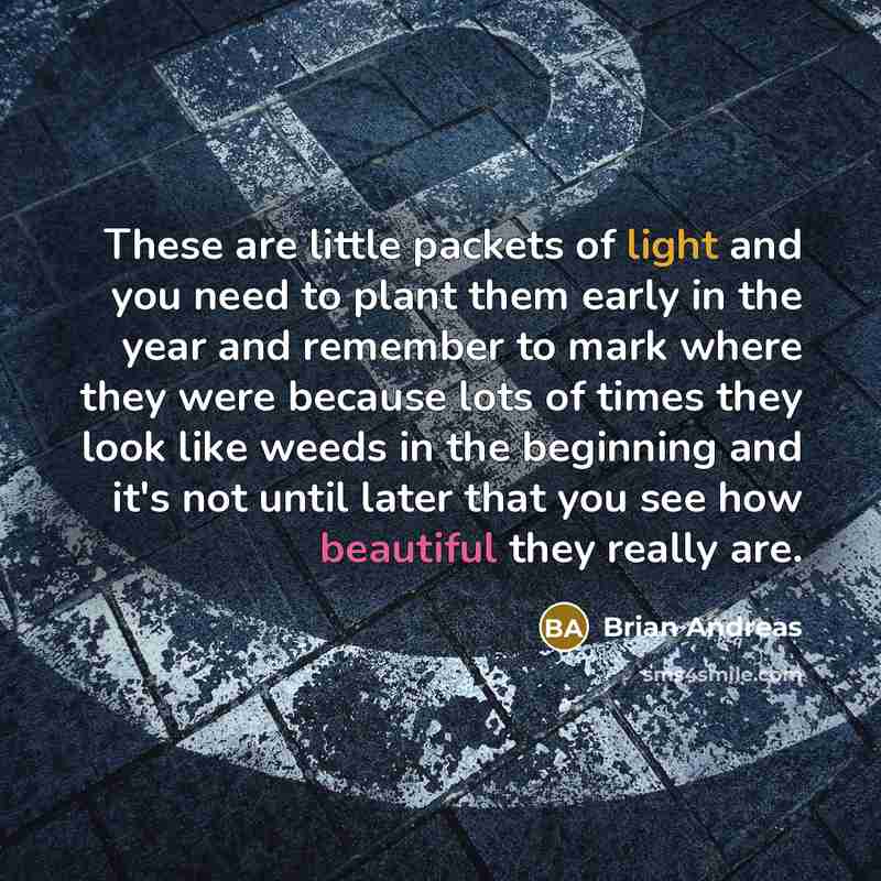 “These are little packets of light and you need to…” quote by Brian Andreas