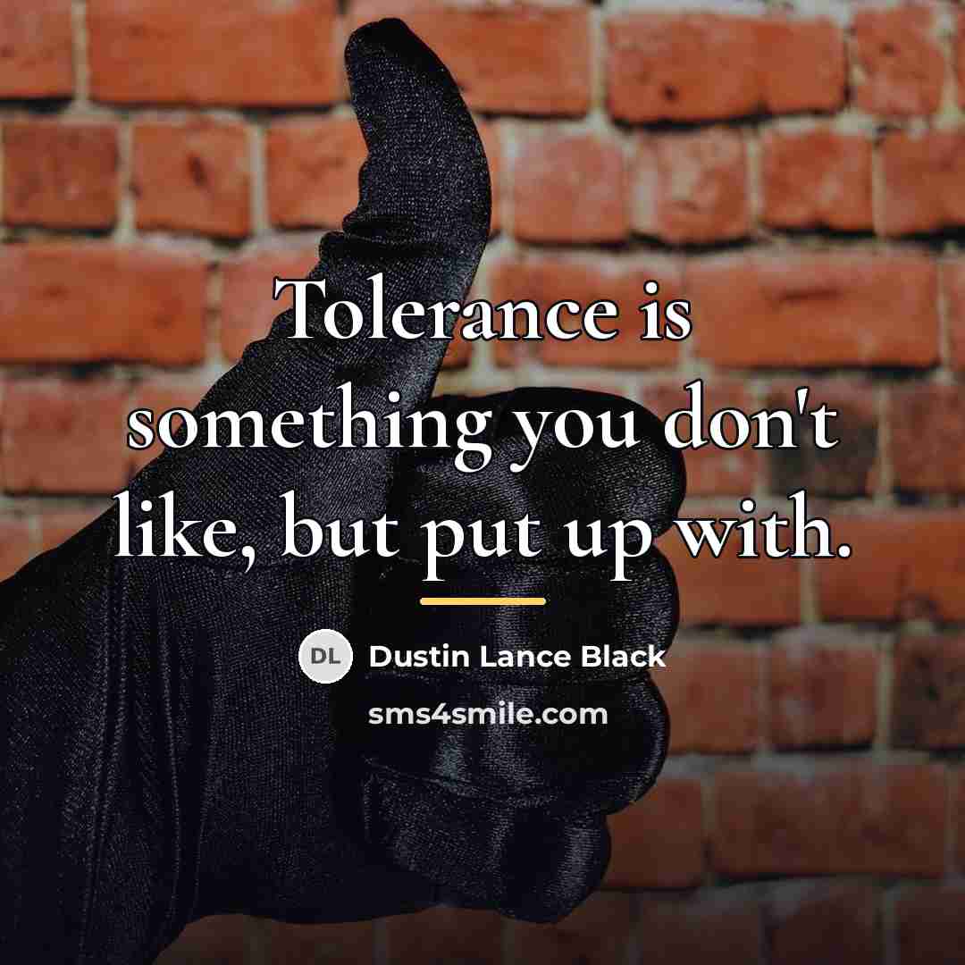“Tolerance is something you don't like, but put up with.…” quote by Dustin Lance Black