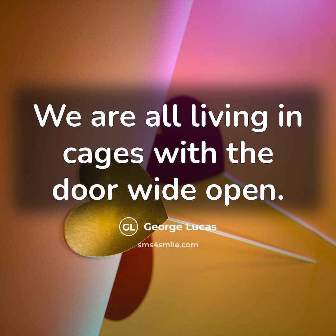 “We are all living in cages with the door wide…” quote by George Lucas