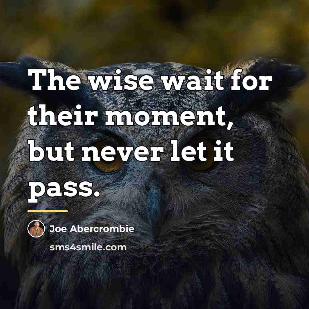 “The wise wait for their moment, but never let it…” quote by Joe Abercrombie